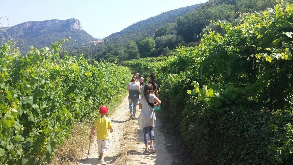 Il Villaggio Di Giuele Finale Ligure Εξωτερικό φωτογραφία