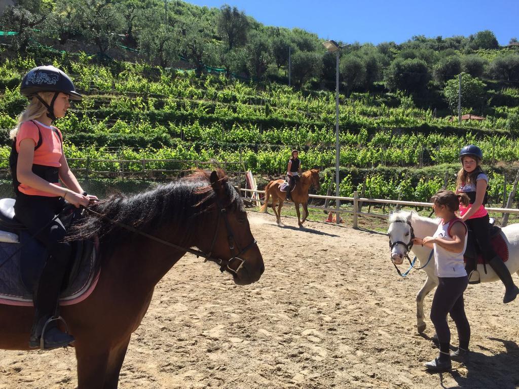 Il Villaggio Di Giuele Finale Ligure Εξωτερικό φωτογραφία