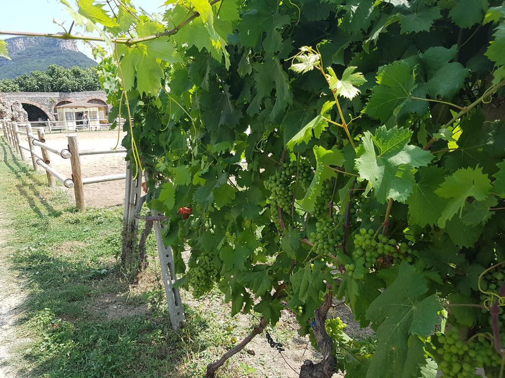 Il Villaggio Di Giuele Finale Ligure Εξωτερικό φωτογραφία